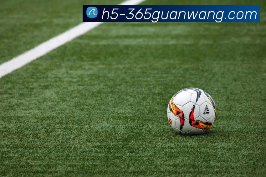 365官网品牌故事